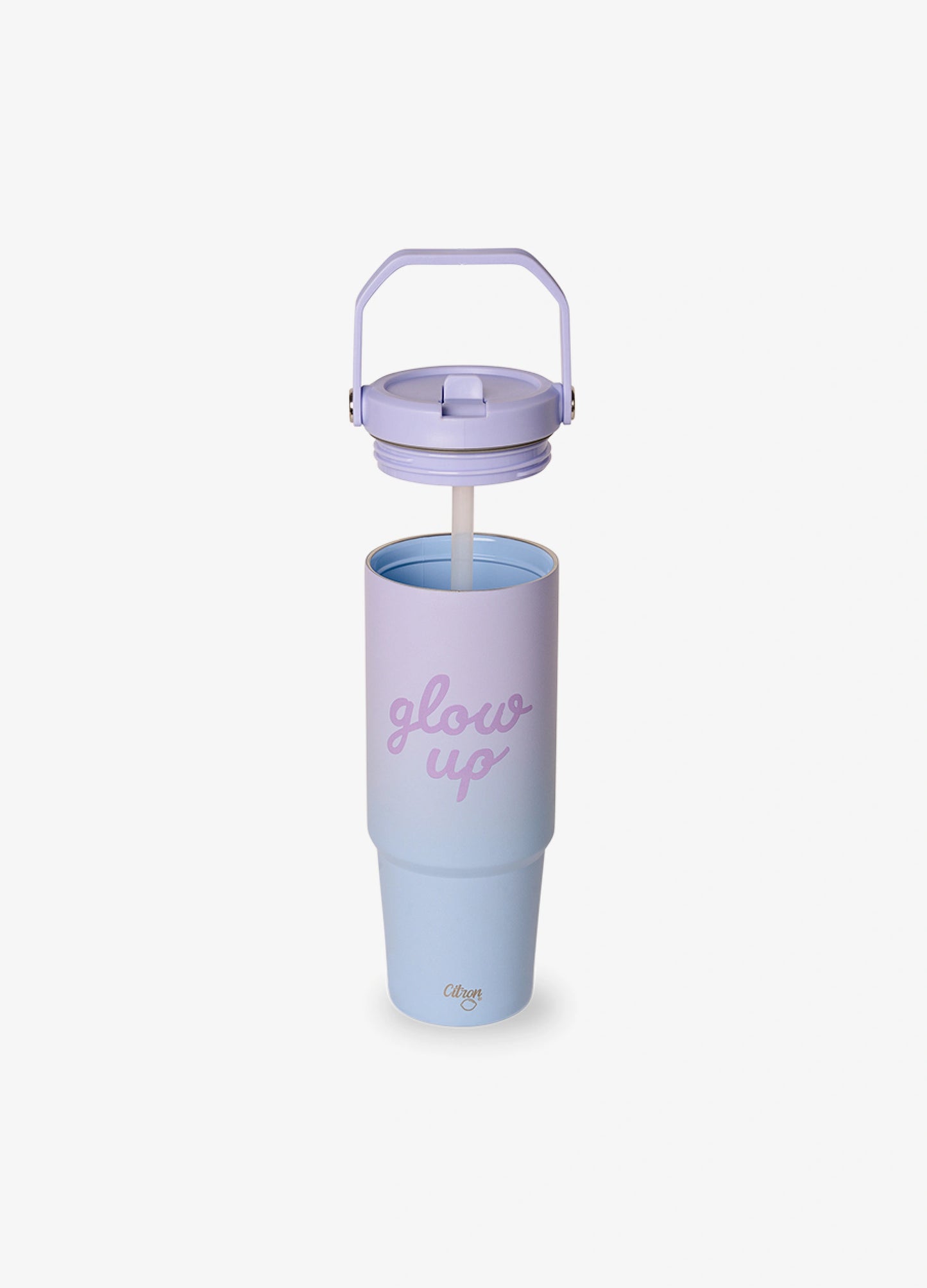 Insulated Tumbler 900ml - Purple Blue