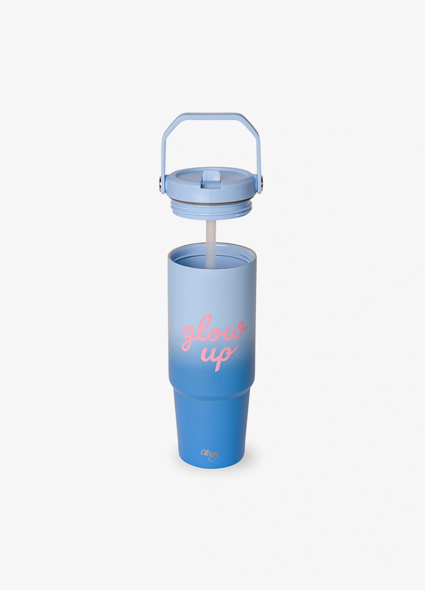 Insulated Tumbler 900ml - Blue